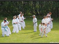 2011 06 26 4037-border